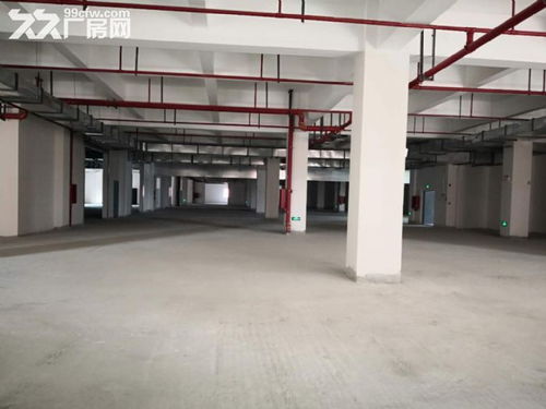 上海新建标准食品产业园 现代化饲料生产的理想之选