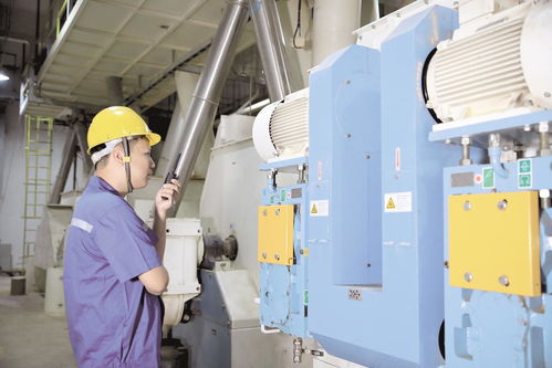 天门饲料企业 辟蹊径，克时艰，稳中求进促增长