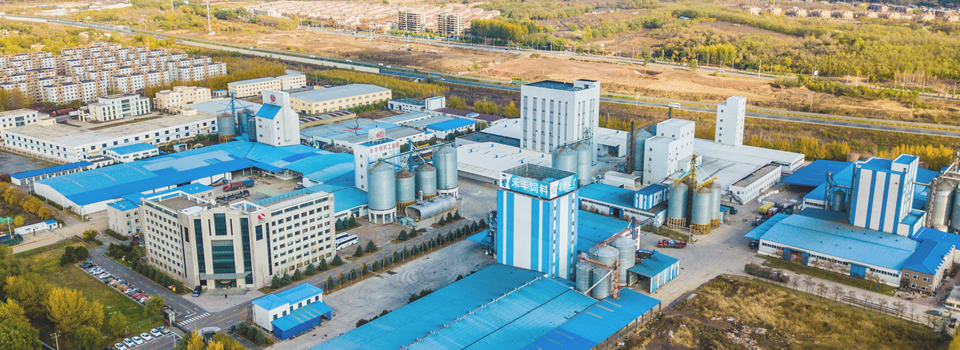 饲料生产 保障畜牧业健康发展的核心环节