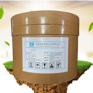 食品与饲料添加剂产业链 生产厂家与批发商在饲料生产中的关键角色