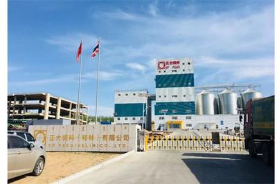 正大饲料 专业养猪饲料的生产之道